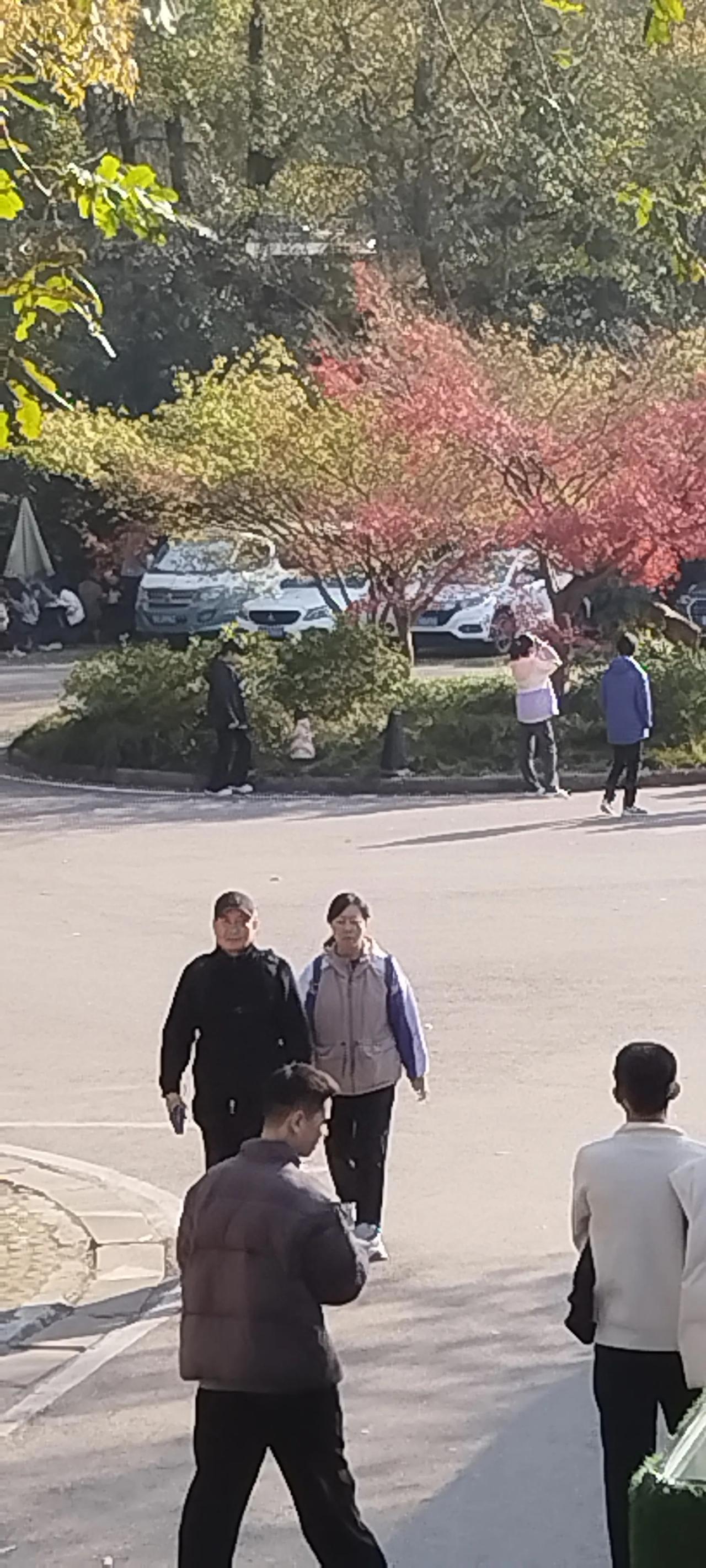 阳光明媚，心情愉悦。