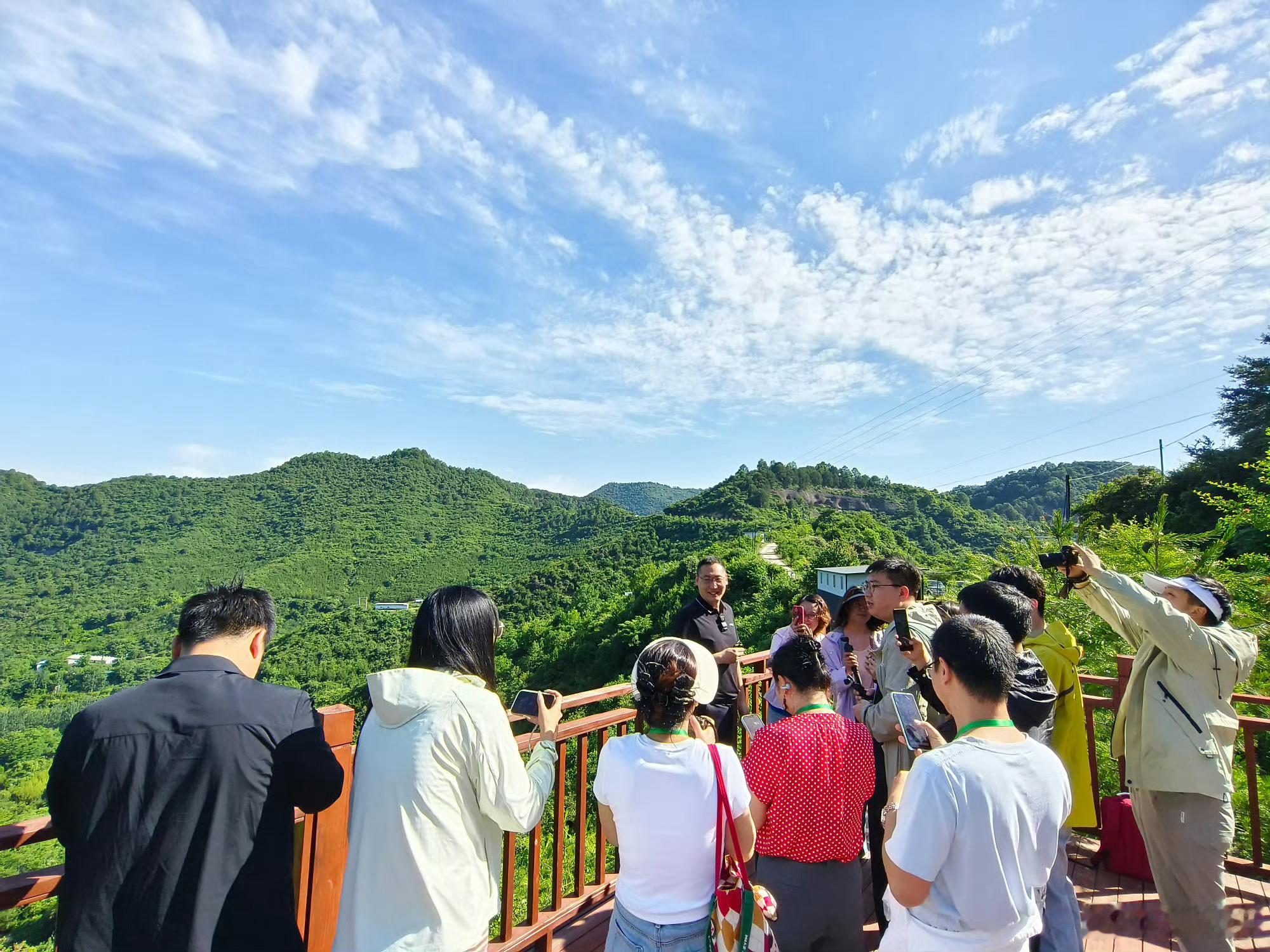 甘肃两当县生态富民进行时 林间跃动的“黑羽精灵”：生态养殖激活山林价值 在两当县