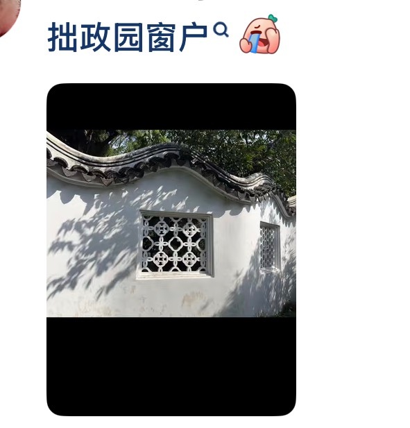 茉莉奶白将上诉 欺负唐朝人不会申请专利是吧。。真正的顶奢其实是古代的琵琶花纹 这