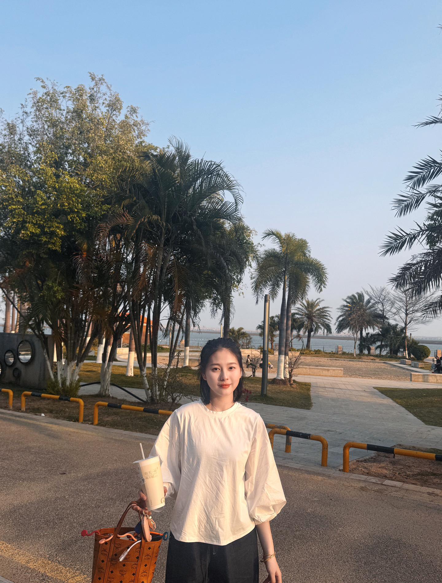 我的爱只能够