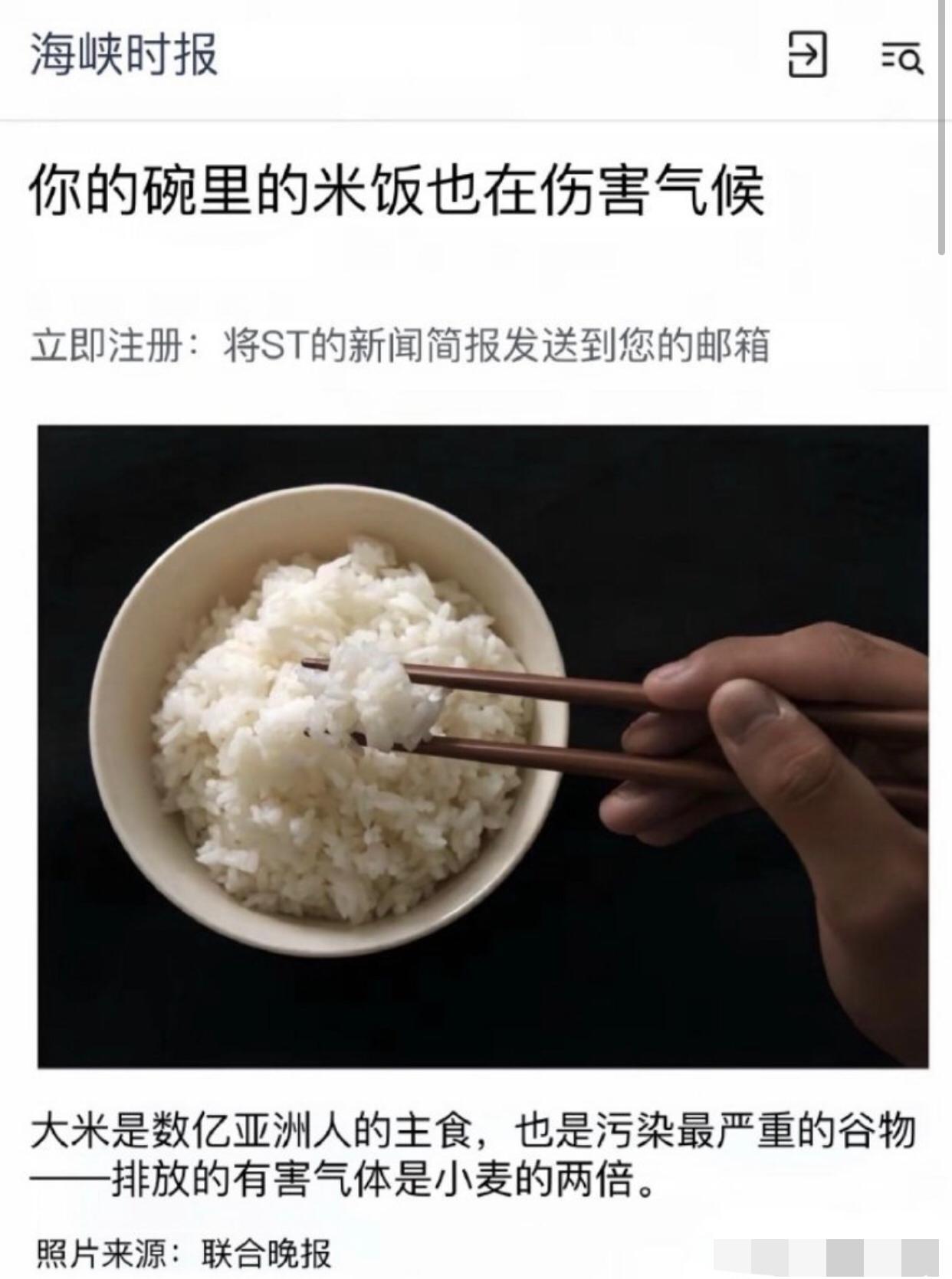 新加坡媒体发文表示：“你碗里的米饭也在伤害气候，大米是数亿亚洲人对主食，也是污染