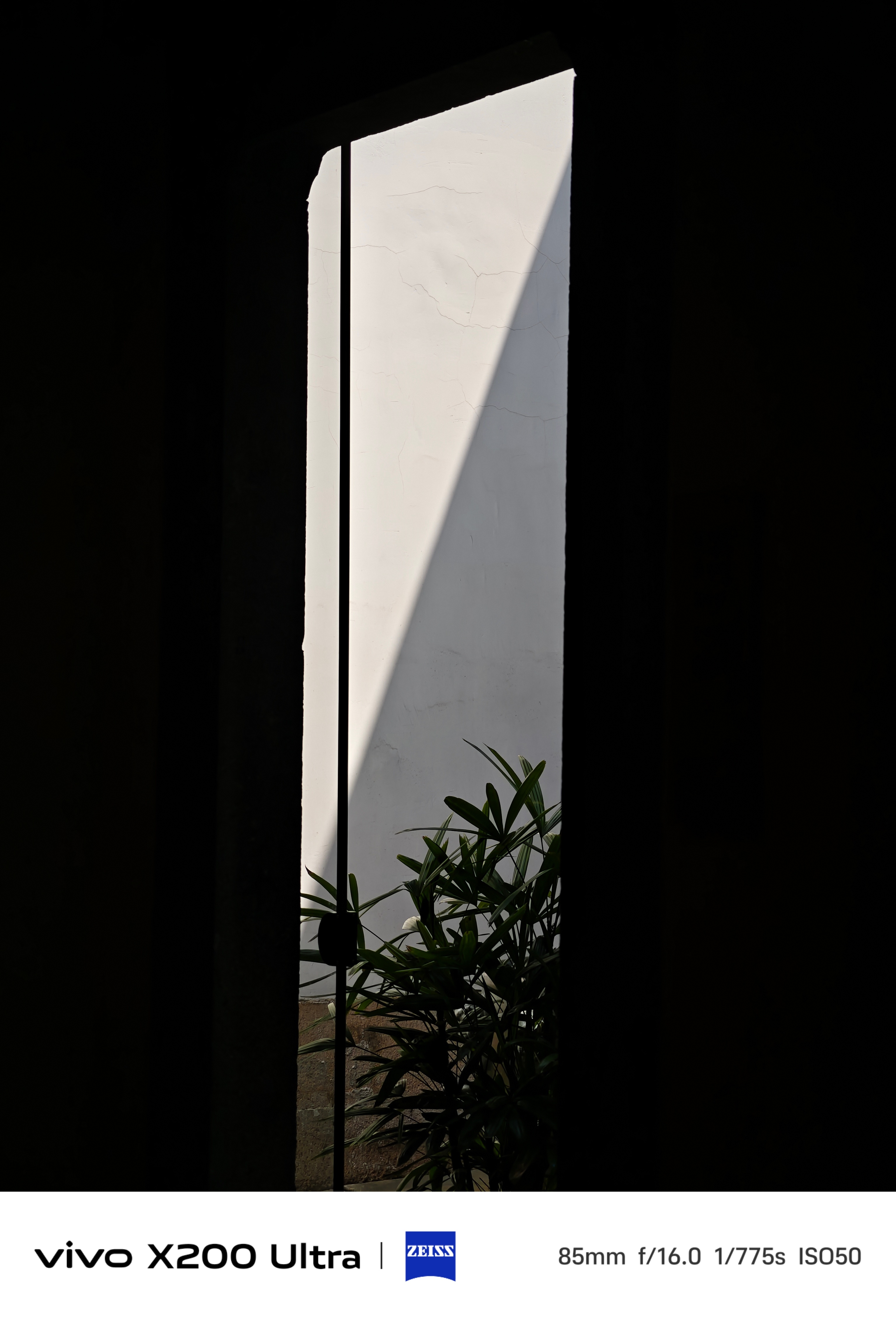 iPhone长焦 出片 长焦确实很容易构图，出片率也高，但话又说回来了，现在国产