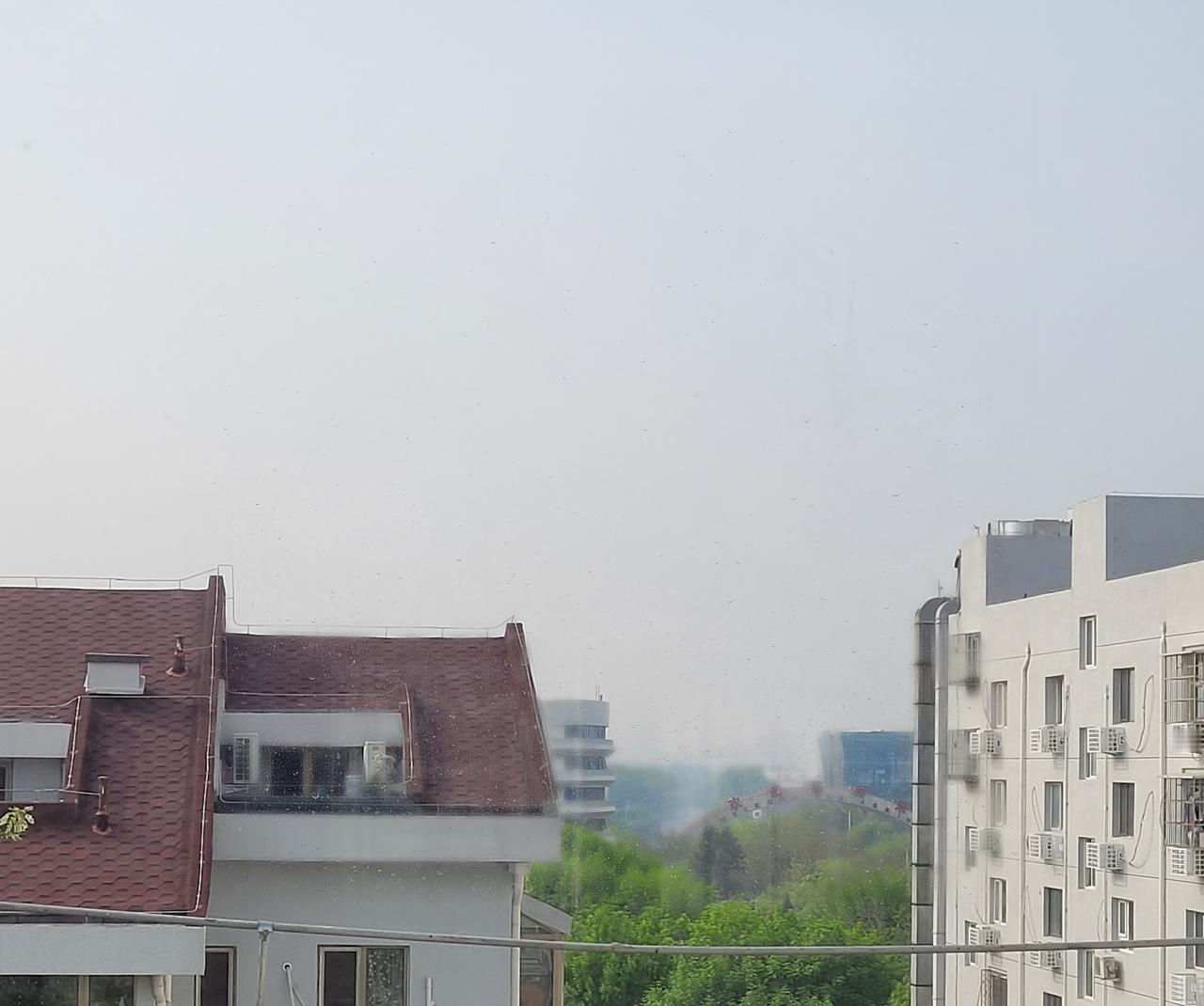 退休后最怕5件事。

第一是退休即上岗，成了免费保姆。一边照顾高龄父母，一边帮子