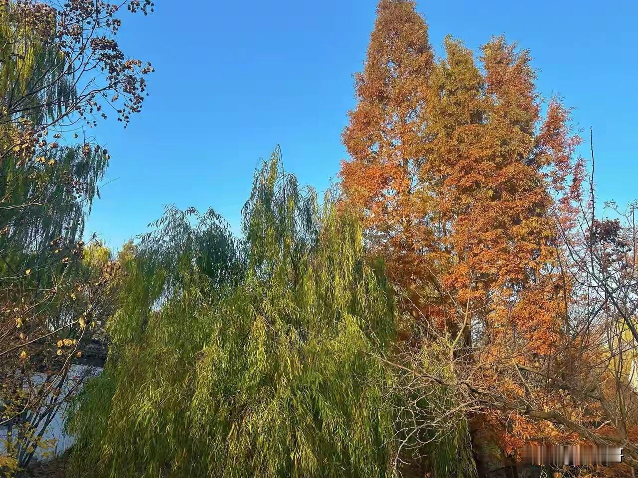 什么叫智慧？
我老家一位赤脚医生在大医院查出癌症，起身准备走。
医生问：“这个病