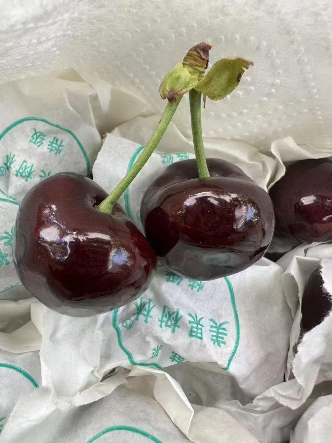 收到一箱极品黑珍珠，谢谢汉源朋友的爱。