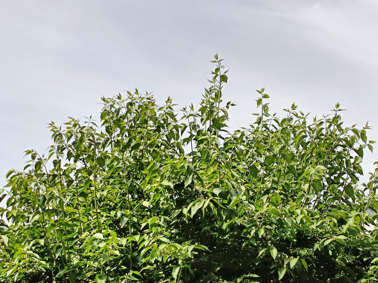 人生之路，选择很重要。
好的环境，总是绿意盎然，生机勃勃。