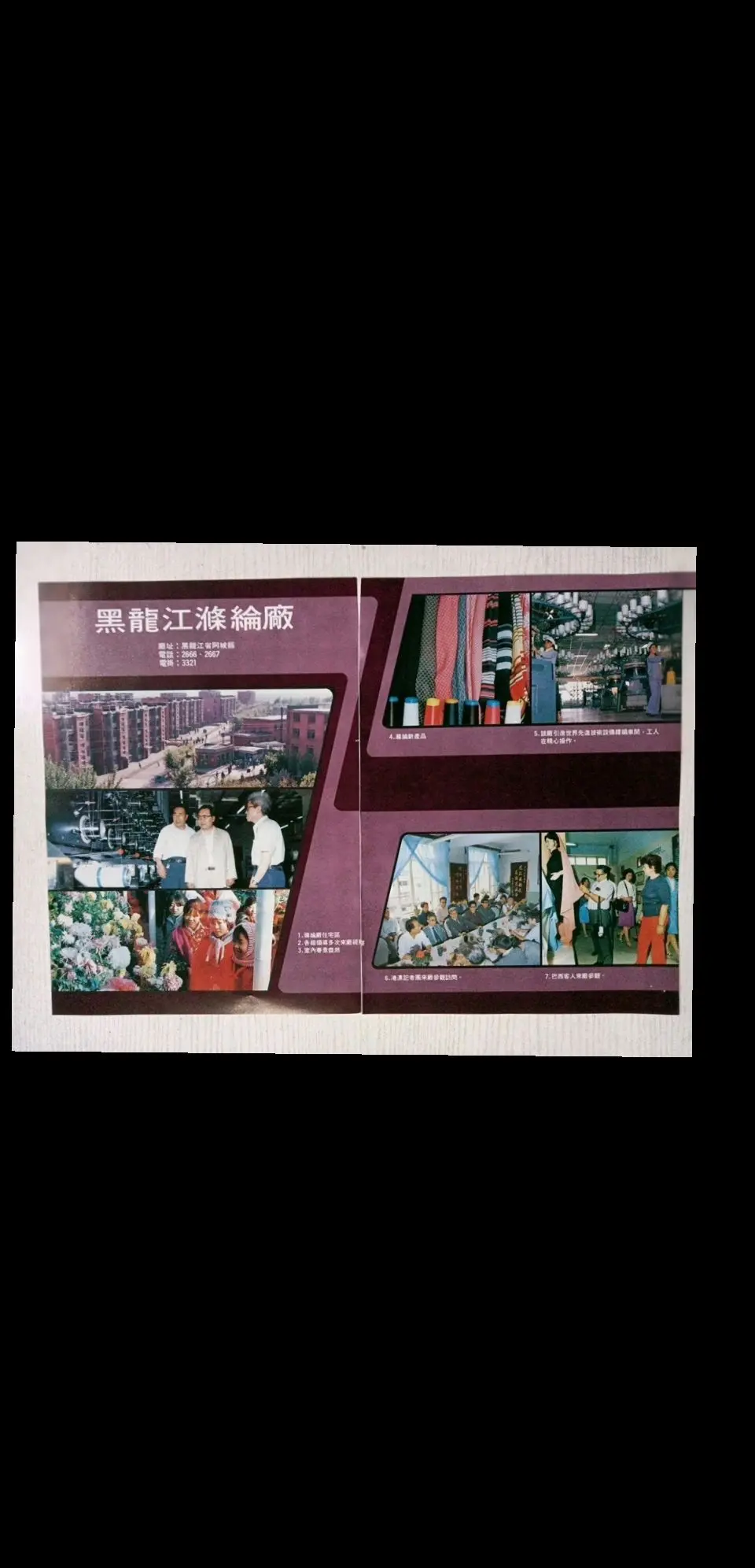 黑龙江涤纶厂