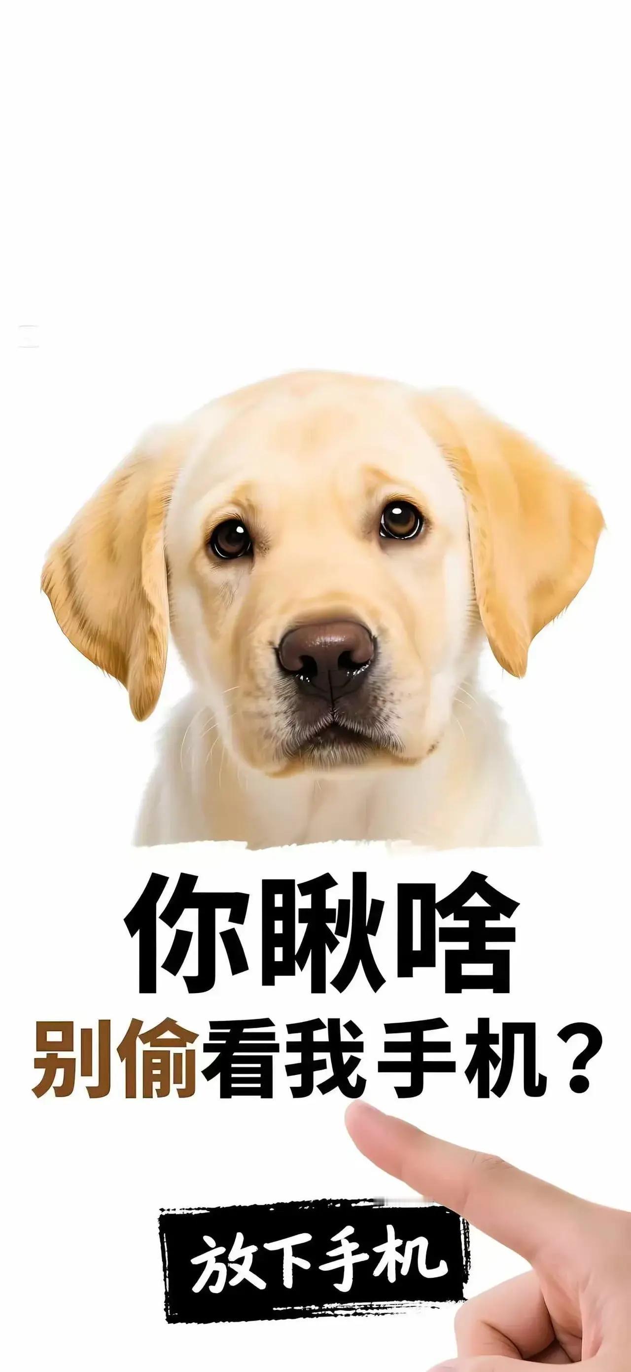 锁屏壁纸