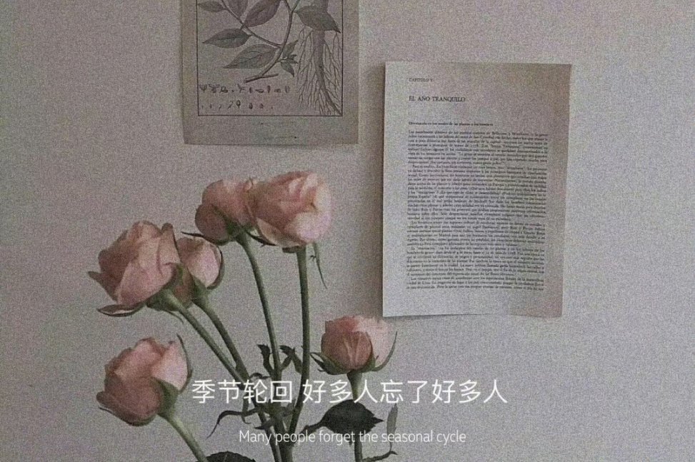 以后呢 有钱我们就吃吃火锅 看看电影 买买口红 没钱的话 我们就吹吹晚风 散散步