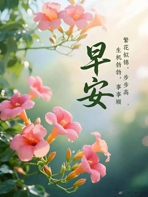 [招财进宝]早安吉祥[福]
 
[万柿如意]早携清风沐晓光，
[给力]安心顺遂岁
