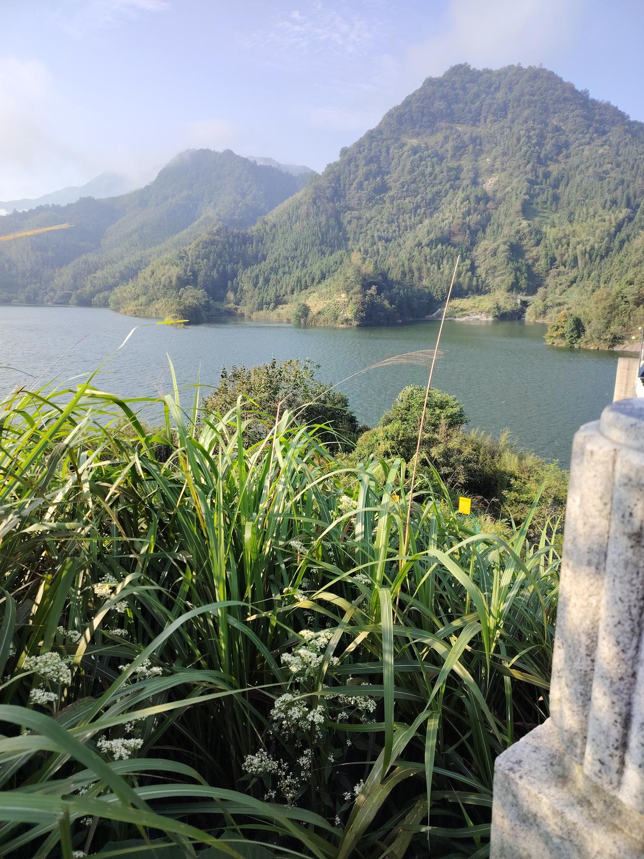 太暖心了！河南icon，男子从老家回宁波icon，接了一单顺风车，乘客是一名女子