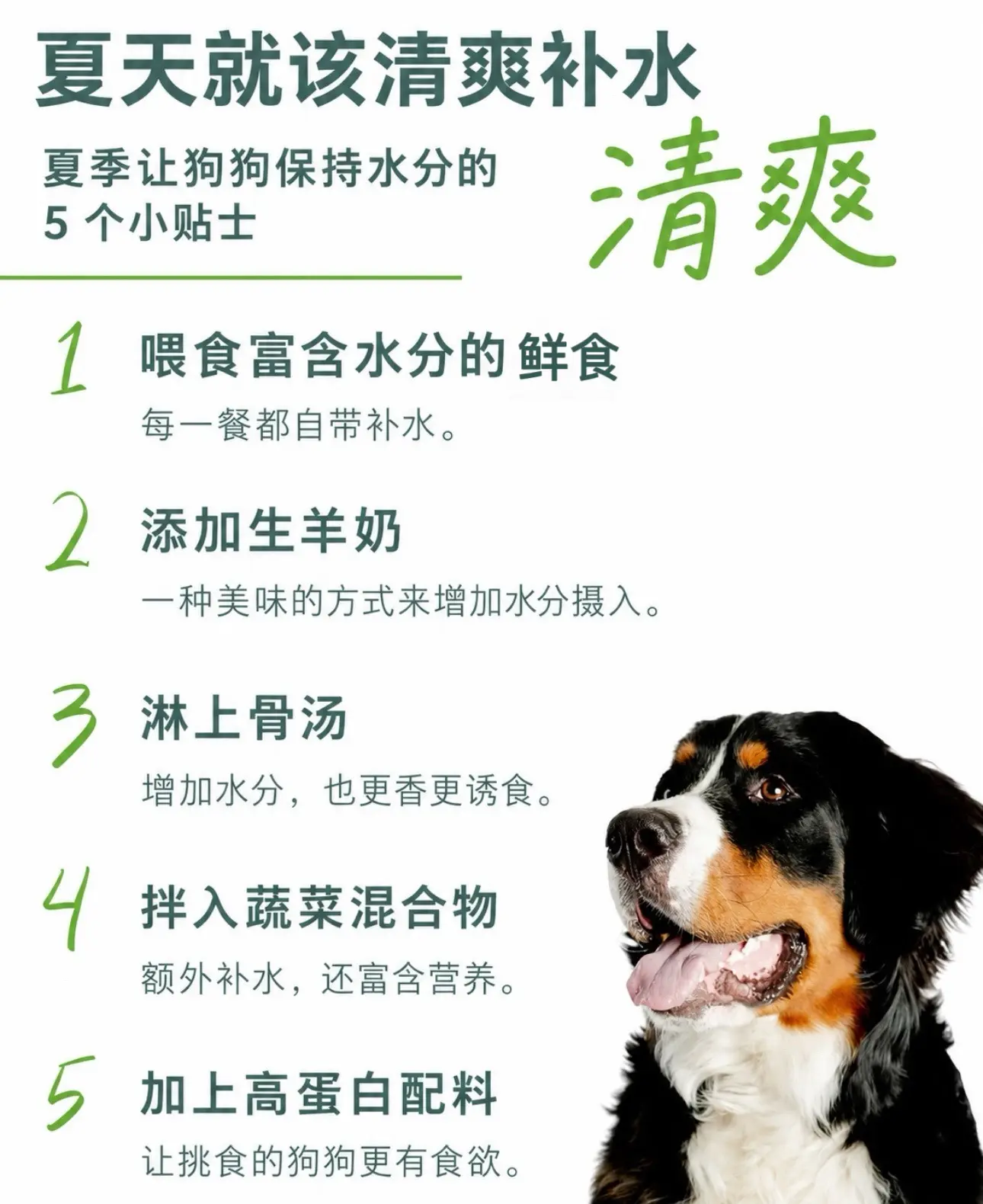 酷热还未结束，高温天记得额外补水☀️。如果狗狗不爱主动喝水，补水渠道不...