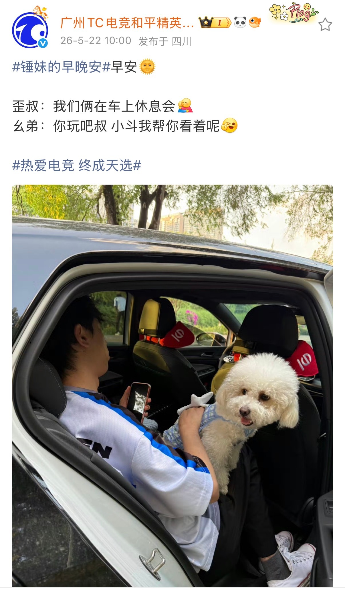 TC电子竞技俱乐部  幺弟如此贴心2026pel2026pel夏季赛