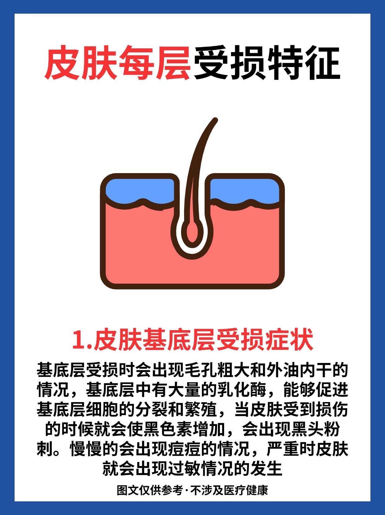 肌肤内层受损特征。