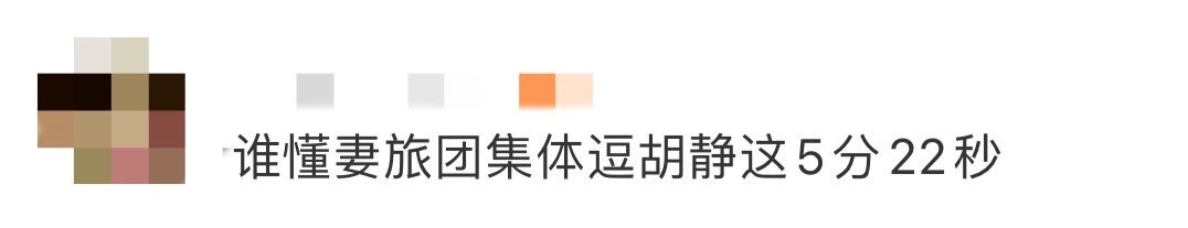 谁懂妻旅团集体逗胡静这5分22秒 救命！妻旅团全员化身“喜剧人”，对胡静展开“花