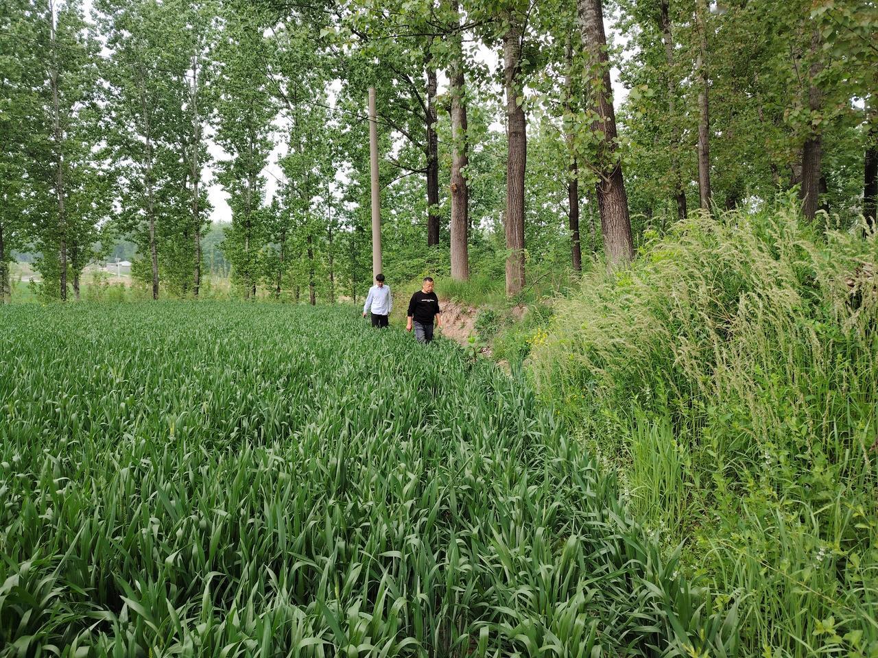分享一张随手拍汝阳文物巡查