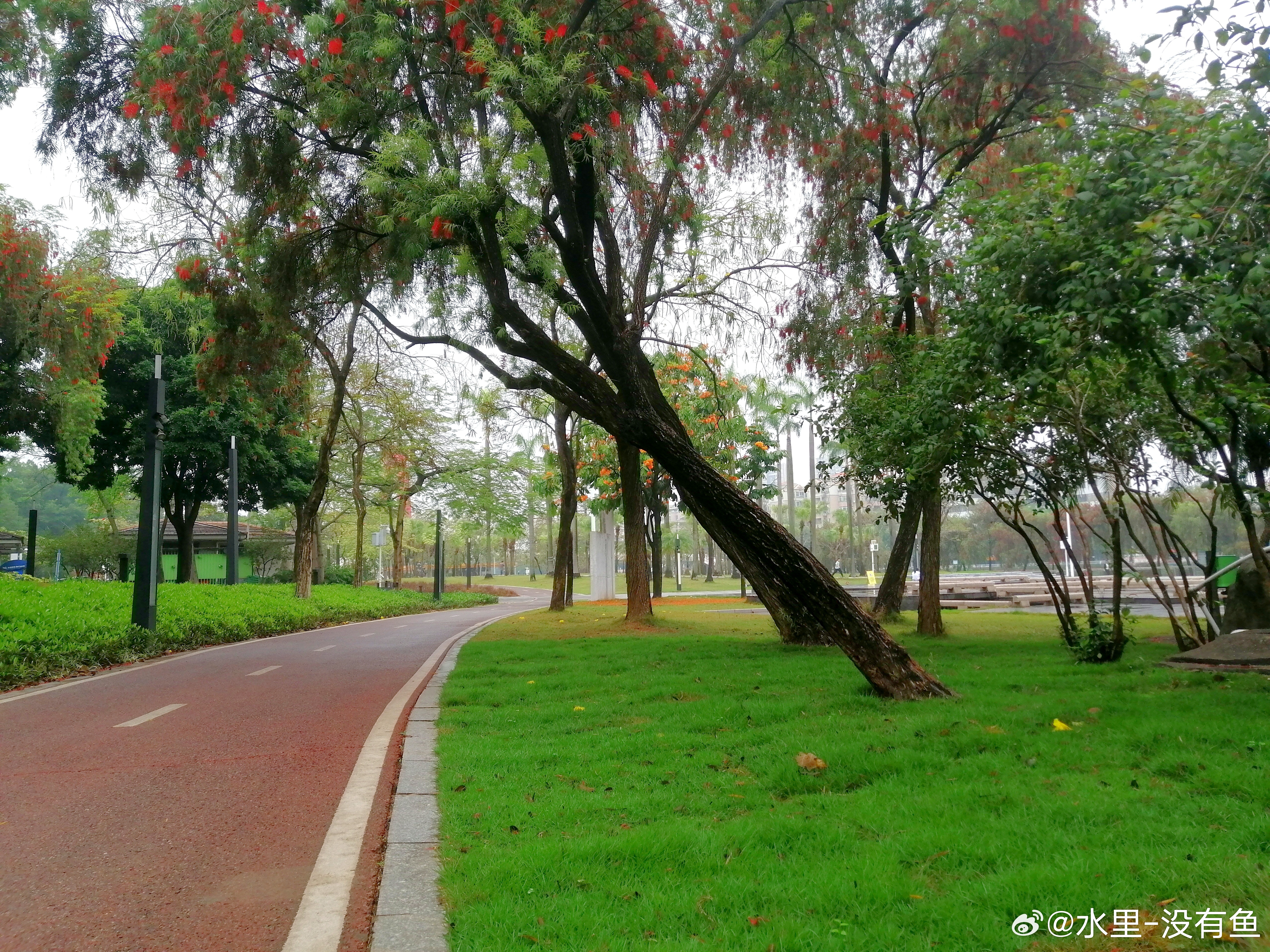 生活手记读书笔记 心中一旦有了爱，脑子里就不再有回忆。如此一来，每一刻的活动都是