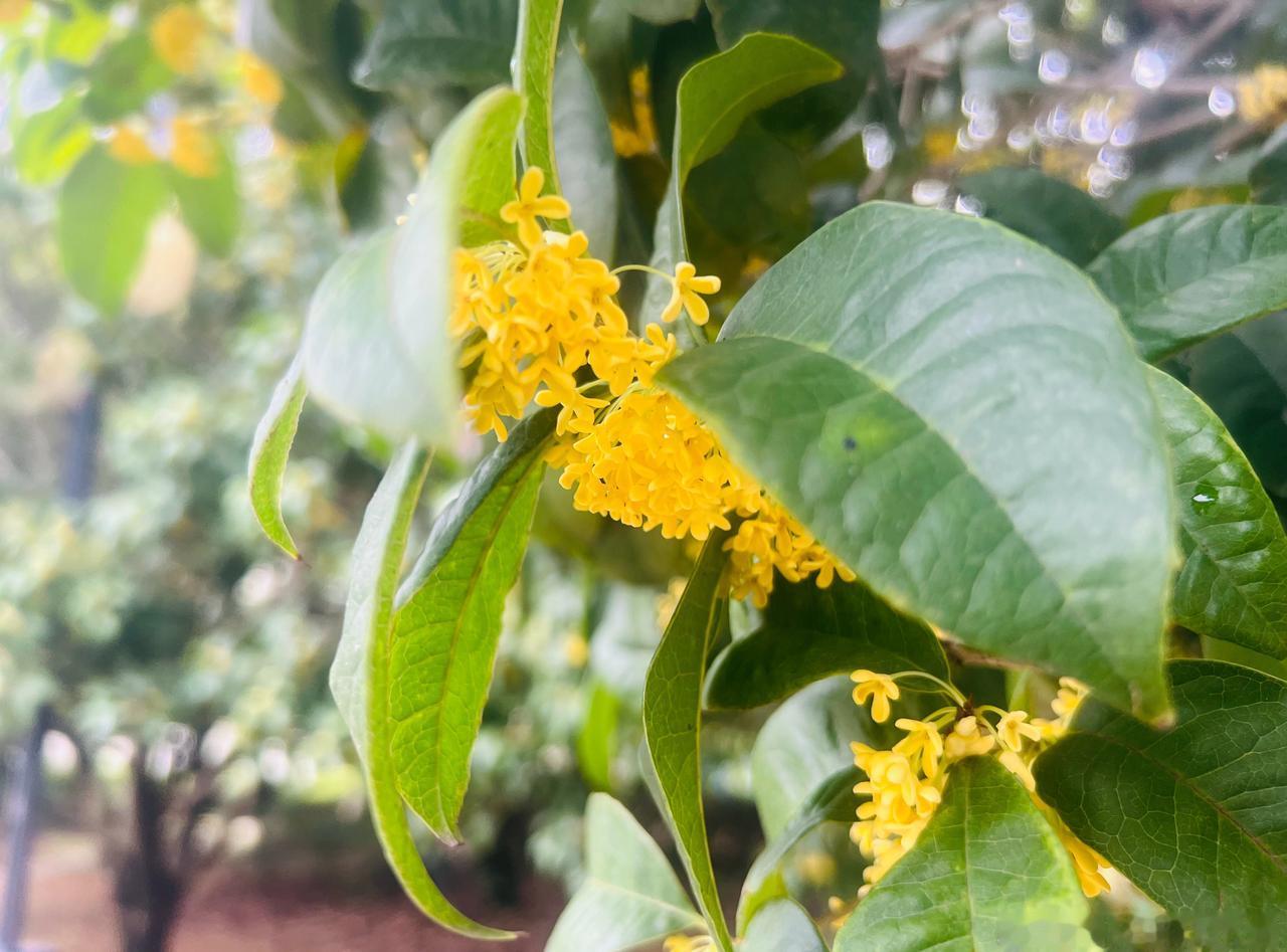 本周天气大乱斗上演， 秋衣秋裤该翻出来了！
今明两天（11月3日至4日），南方持