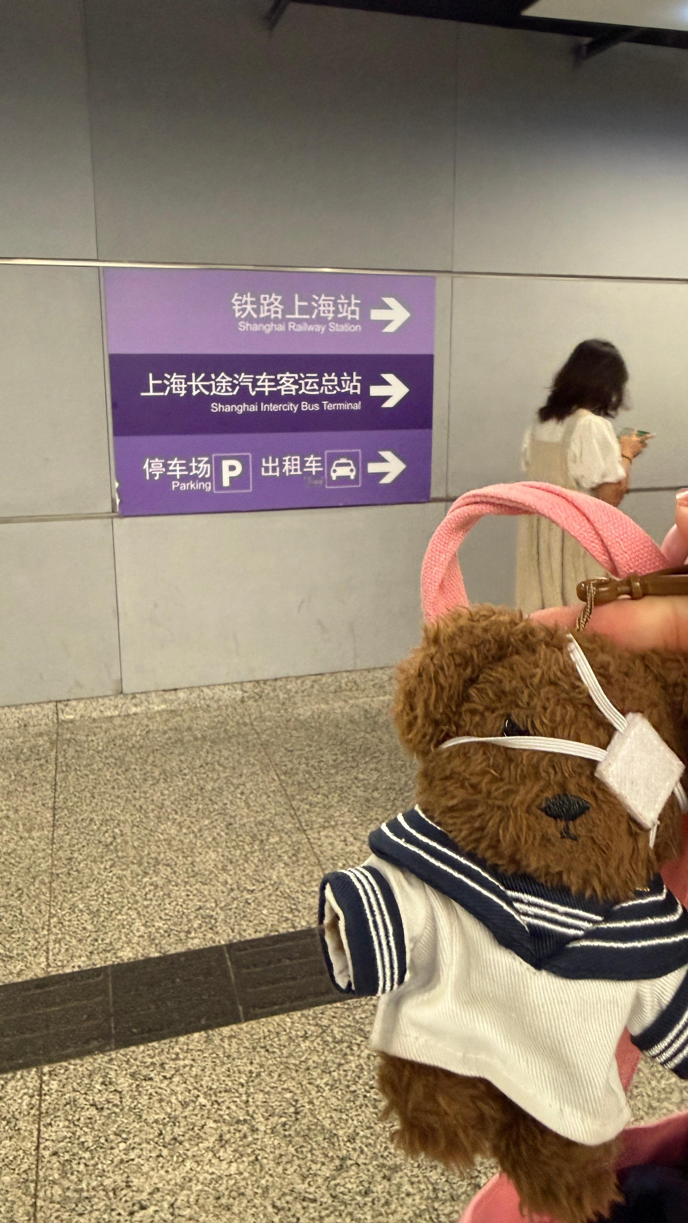 我来啦 