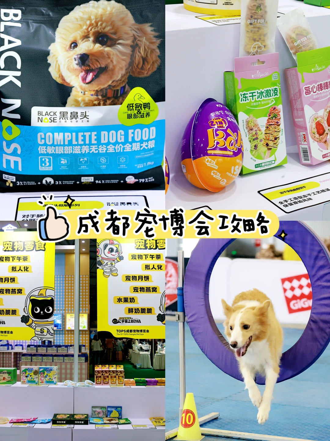 📝成都宠物展攻略请查收！