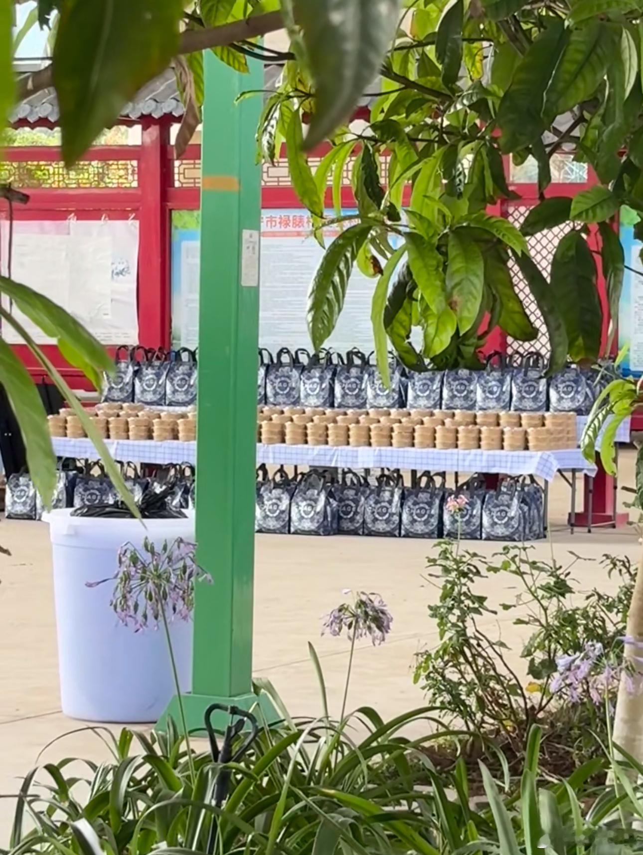 地球超新鲜节目组请铁证剧组喝奶茶🧋祝《铁证》大爆地球超新鲜大爆双双大爆哈哈哈哈
