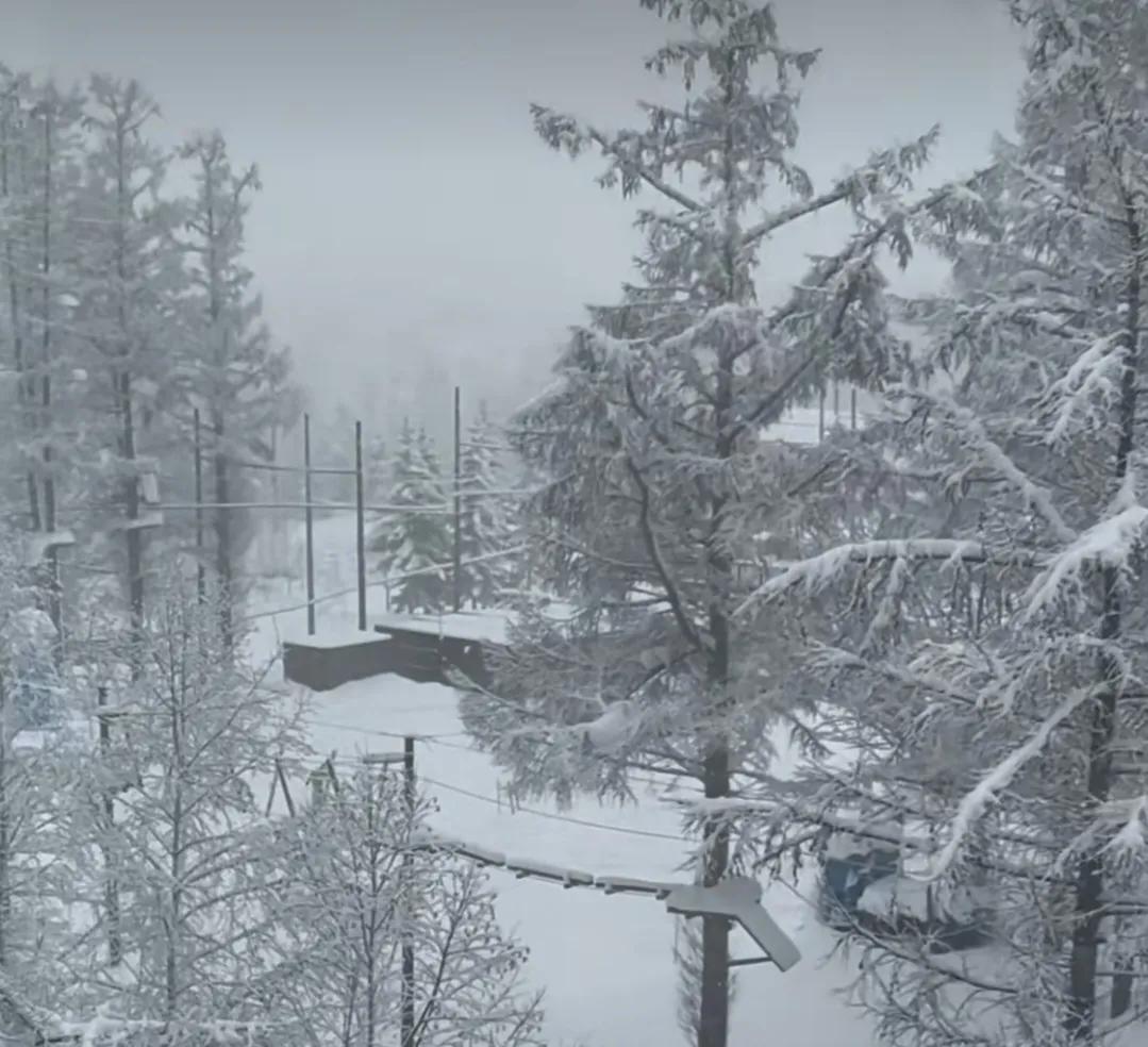 世界上有一种美叫北海道的冬天！用一场浪漫愉悦的日本冰雪之旅，开启2025年的序章