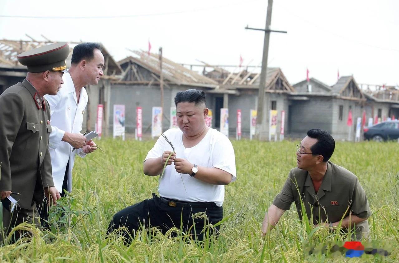 他说：只要人民需要，天上的星星也要摘下来