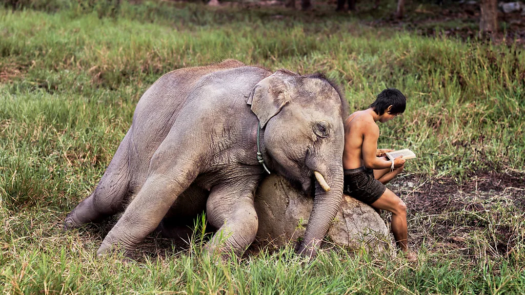 世界在阅读 (Credit: Steve McCurry/Magnum Phot