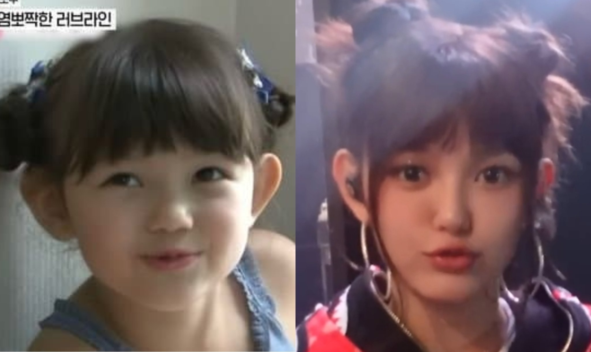 我的小丸子🍡在哪 