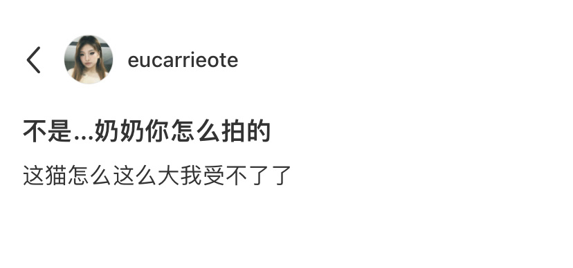道理我都懂，但这辆猫猫为什么这么大[doge] ​​​
