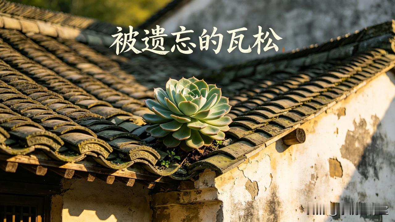 今日端坐凝神，以古法为中医把一脉。指下脉沉、微、细、欲绝，时断时续，六经传变由表