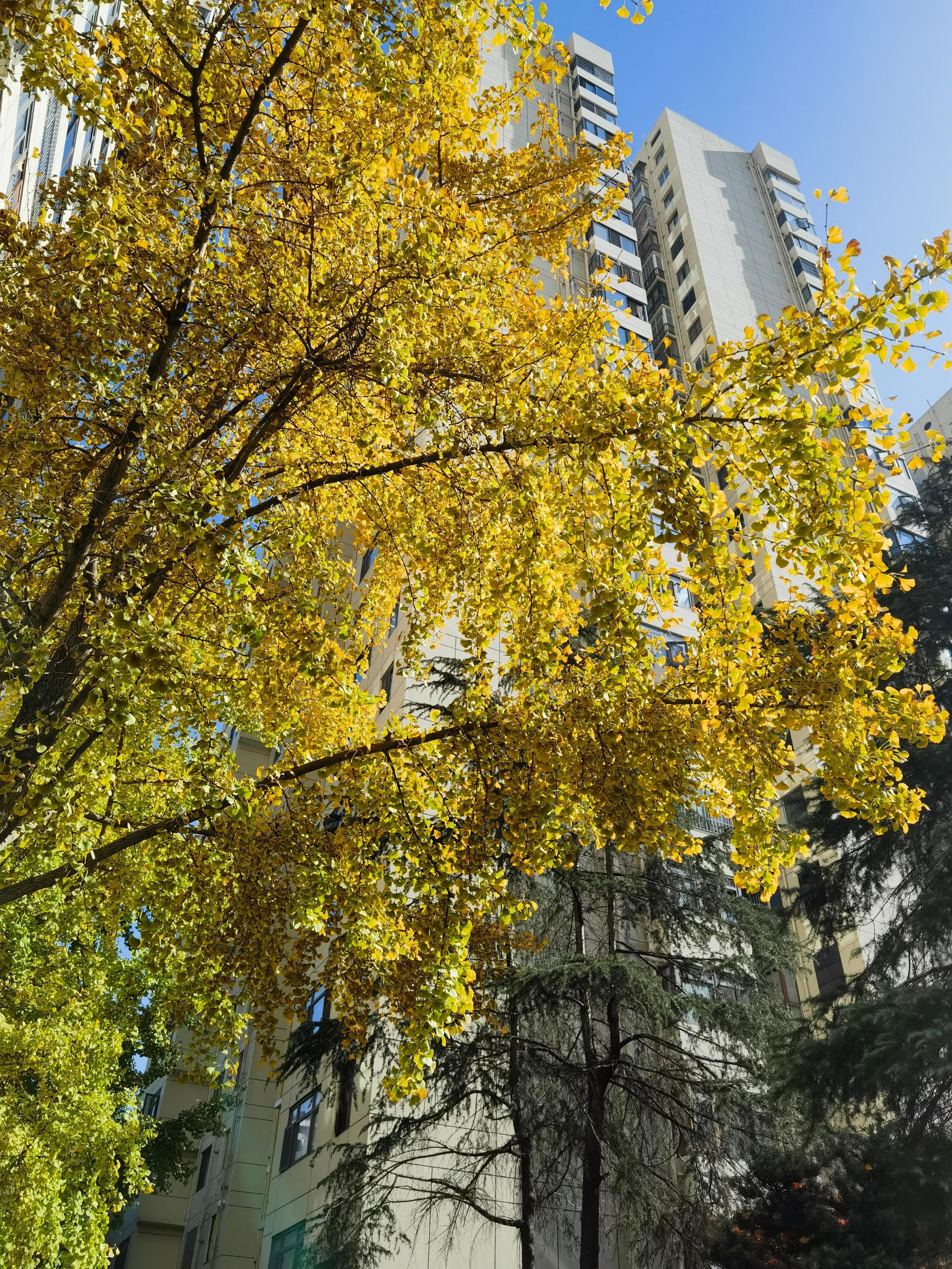 人生是一场阅读人生何尝不是一场阅读？从呱呱落地第一声啼哭，看见这个世界的第一眼，