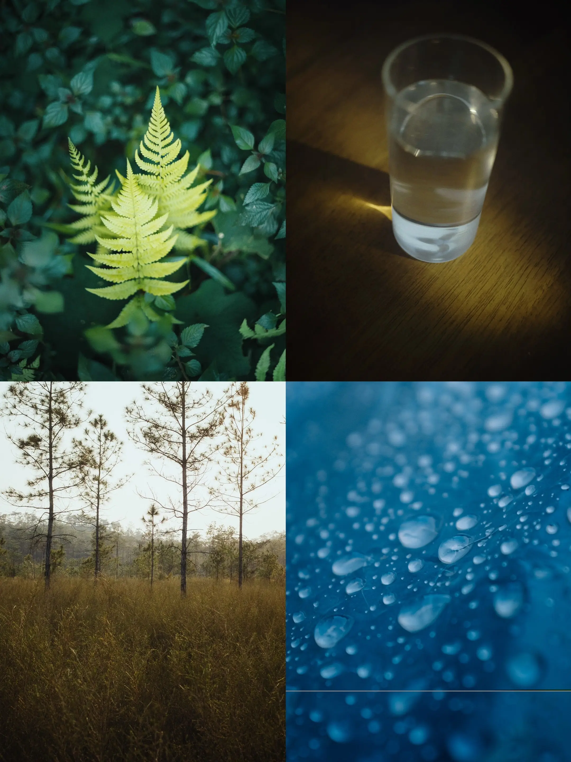 他们说，我的照片很安静