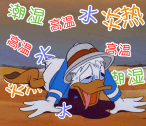 一直以为所有瓶装水都叫矿泉水颠覆多年认知！瓶装水和矿泉水根本不是一回事，纯净水、