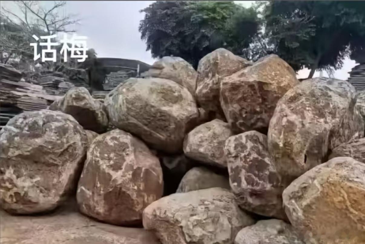 中午请大伙吃点点心 