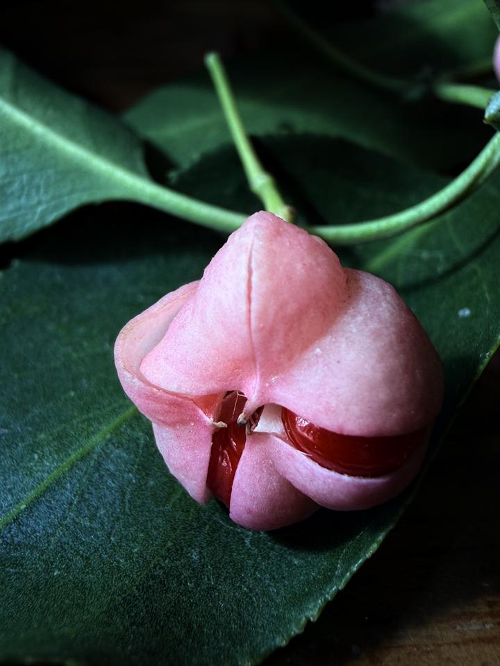 从何而来，去往何处。此乃人生也。