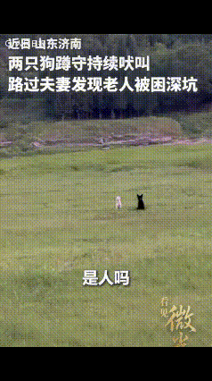 山东济南，00后小夫妻朱加旭和李雪新婚出游，途中遇到两只土狗一直在水坑边不停狂叫