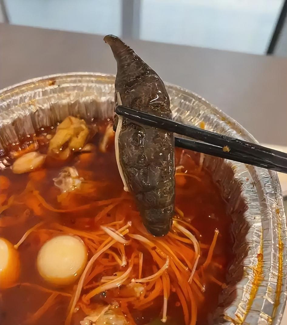 一条牛蛙抗生素的话题昨天直接冲上热搜榜首，阅读量瞬间破亿。
澎湃新闻历时一个月的