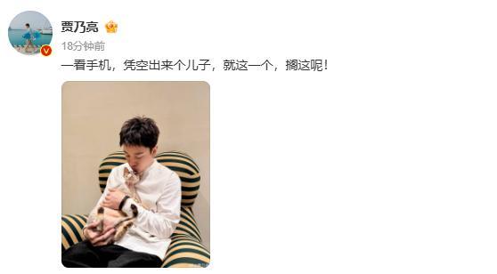 突如其来的匿名爆料在社交平台疯狂发酵，有传言称贾乃亮悄悄隐婚生子，私下藏了一个儿