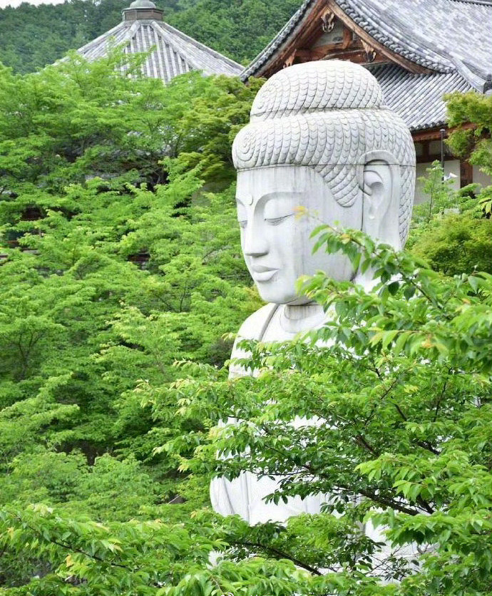 建议24小时内转下，遇佛转发真的会有好事出现🙏运势