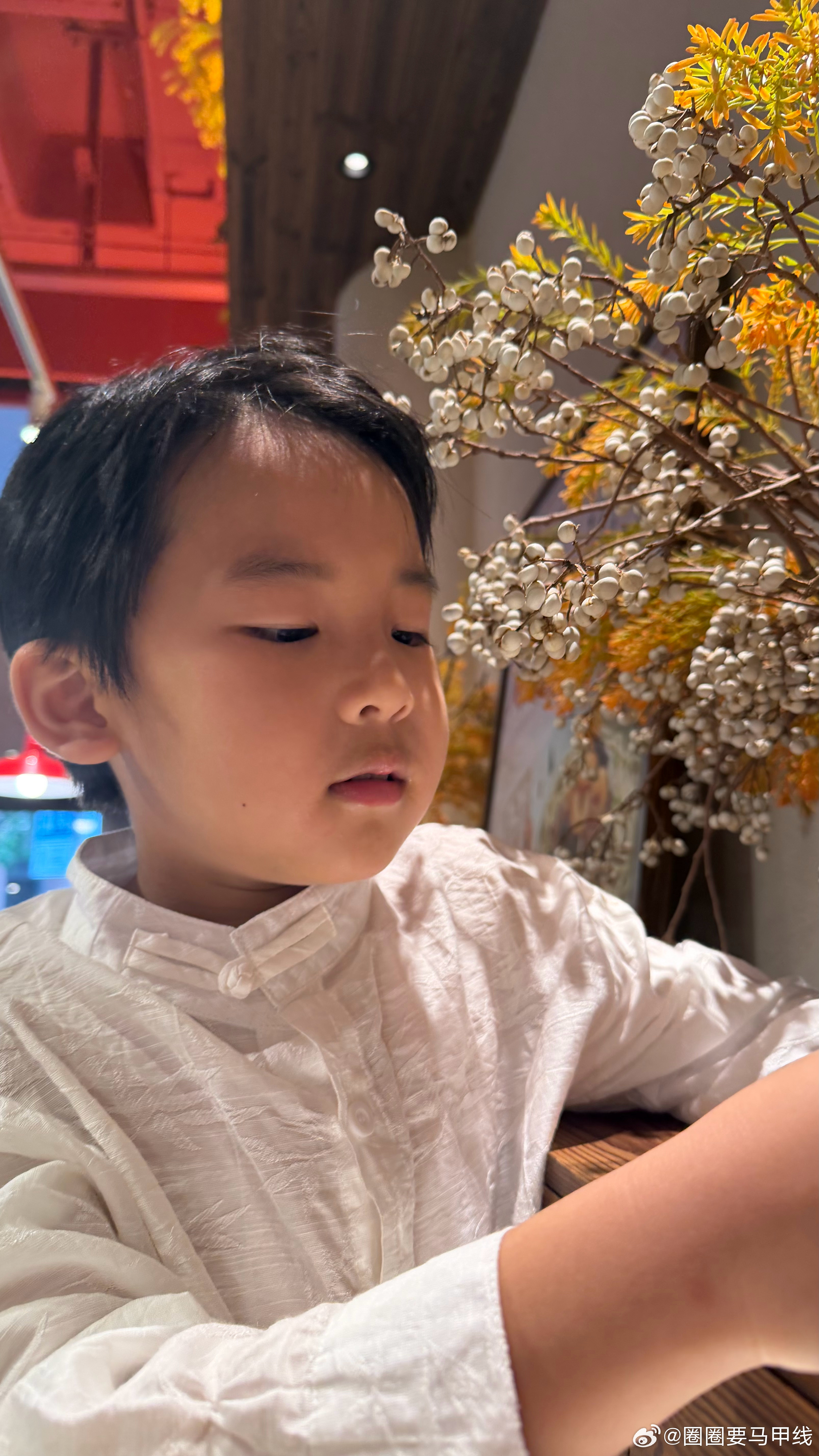 我真的被花道萌翻了，我觉得他实在太可爱了。主持人，“现在请第一位演讲者上台。”其