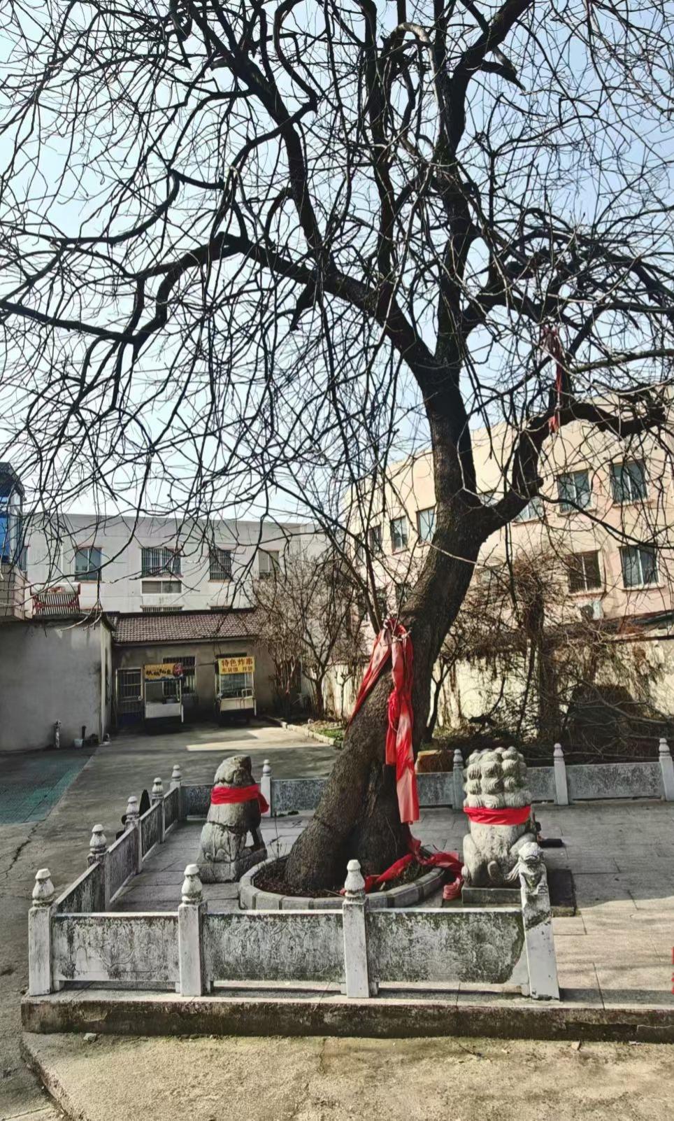 寻常巷陌藏烟火，半是沧桑半是福。