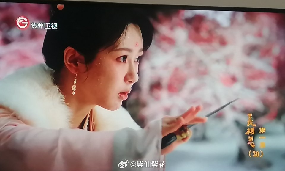 贵州卫视长相思第一季长相思第一季 第30集梅林小夭勇斗猛禽 只有靠自己才能获救这