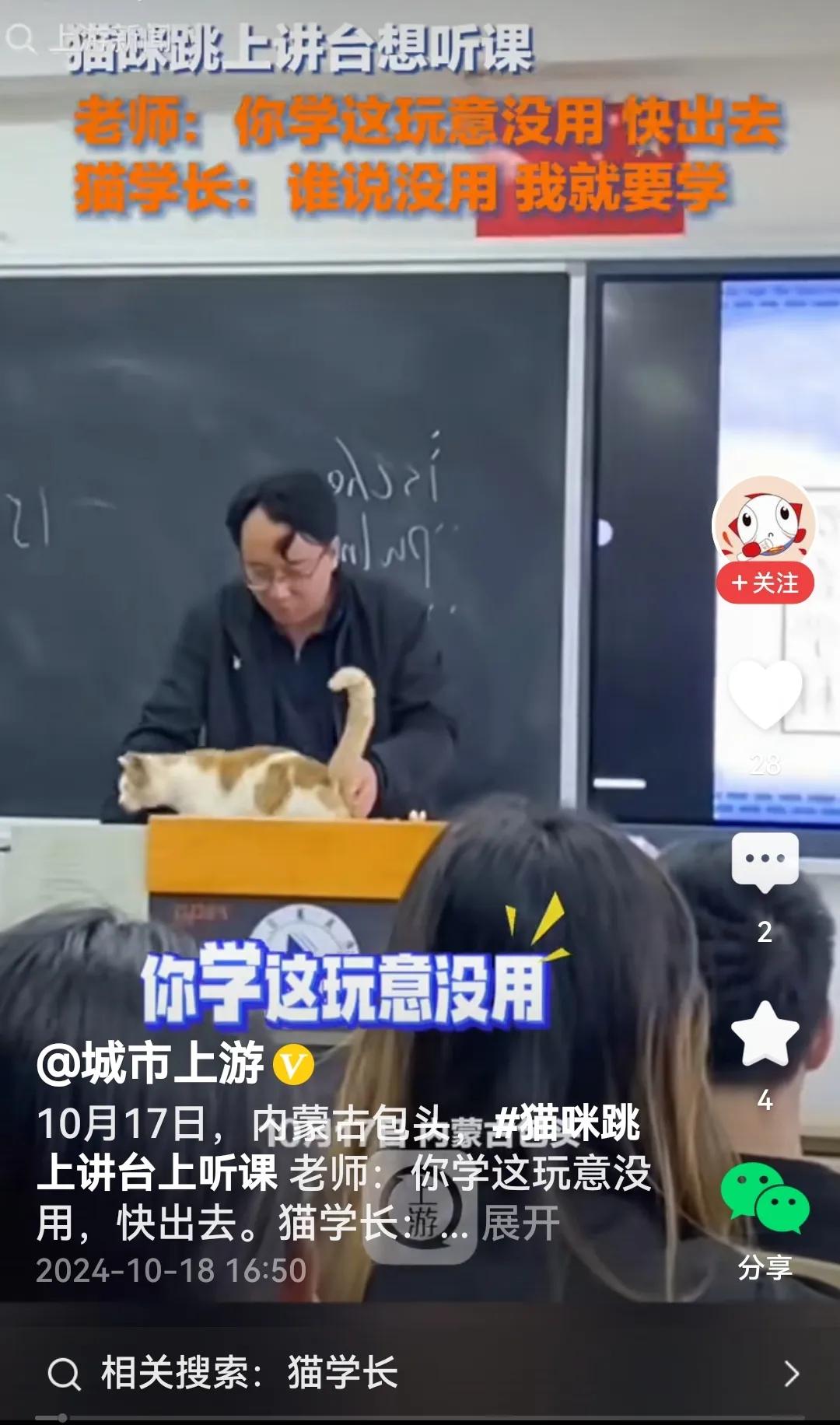 #猫咪跳上讲台听课被老师“劝退”#
还真是，老师正在讲课，一只猫咪跳上讲台，慢慢