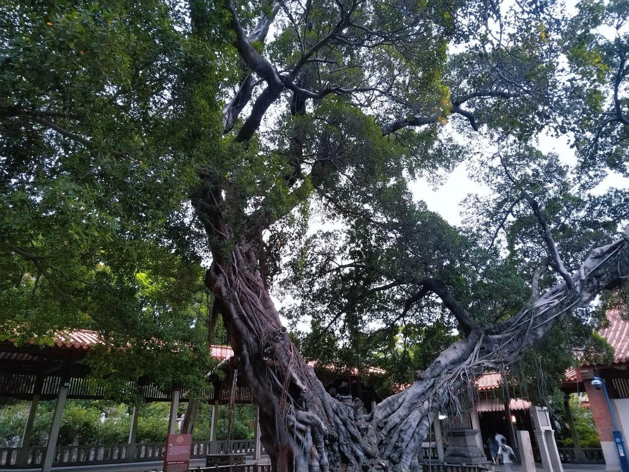 始建于唐朝的开元寺，位于泉州市鲤城区西街，是福建省内规模最大的佛教寺院，有着悠久