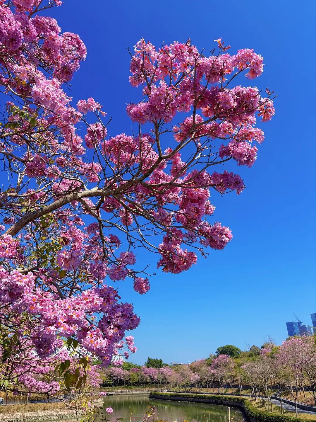 永远都不要做的事：

1、跟知己上床。
2、和情人结婚。
3、把每个同事当成朋友