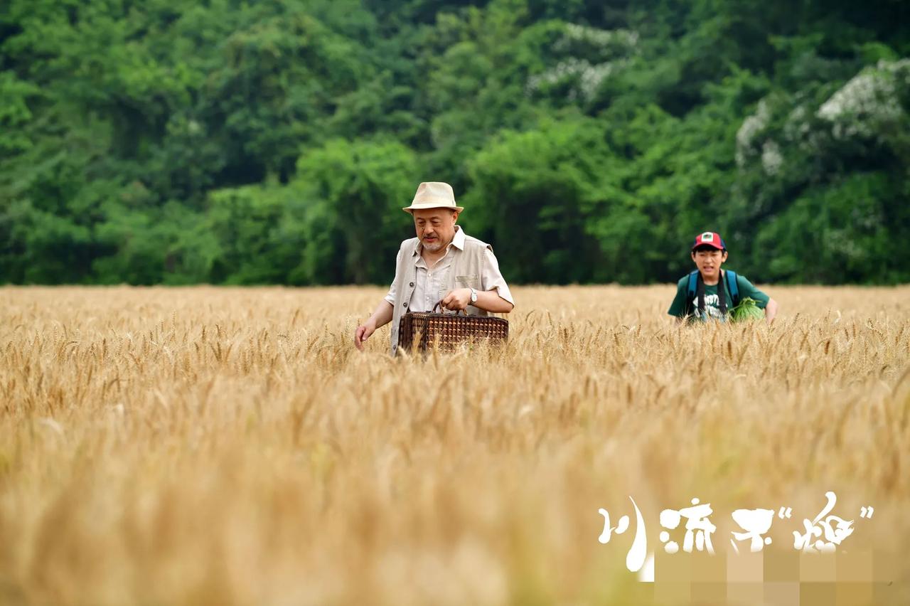 电影《川流不“熄”》上映，收到好评不断，该电影以家庭为背景，通过讲述一个描绘了乡