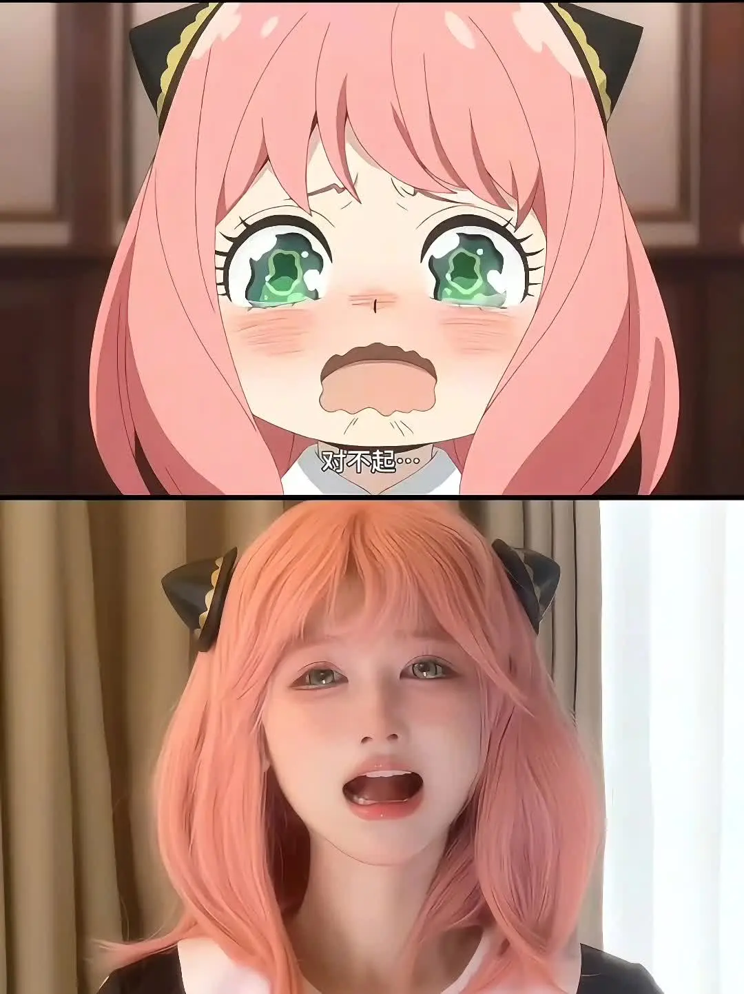 博主