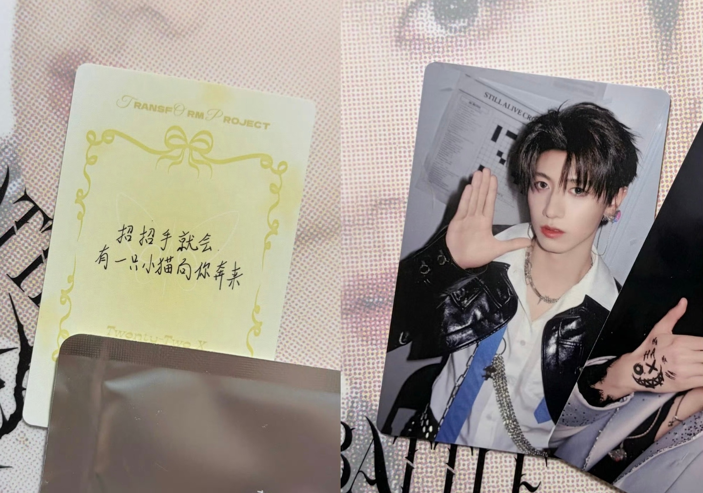 招招手 就会有一只小猫向你奔来^ ̳- ‧̫ • ̳^ฅ 