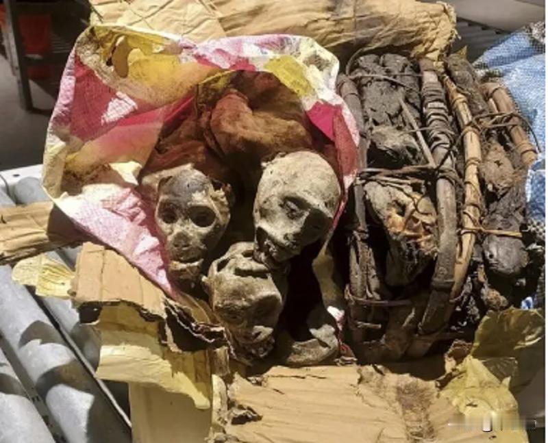 ###猴子干尸成为刚果土特产### 动物与人的命运有些相似，出生背景就决定了身份